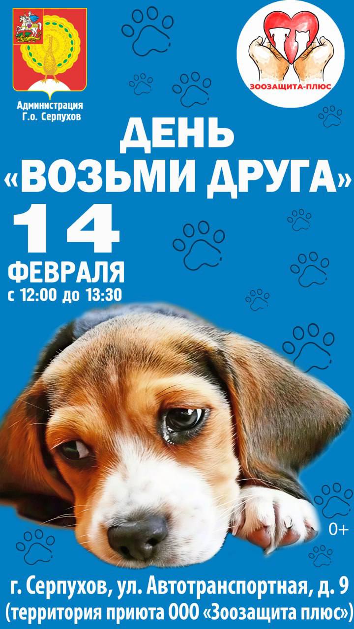 День «Возьми друга» пройдёт в серпуховском приюте «Зоозащита плюс»