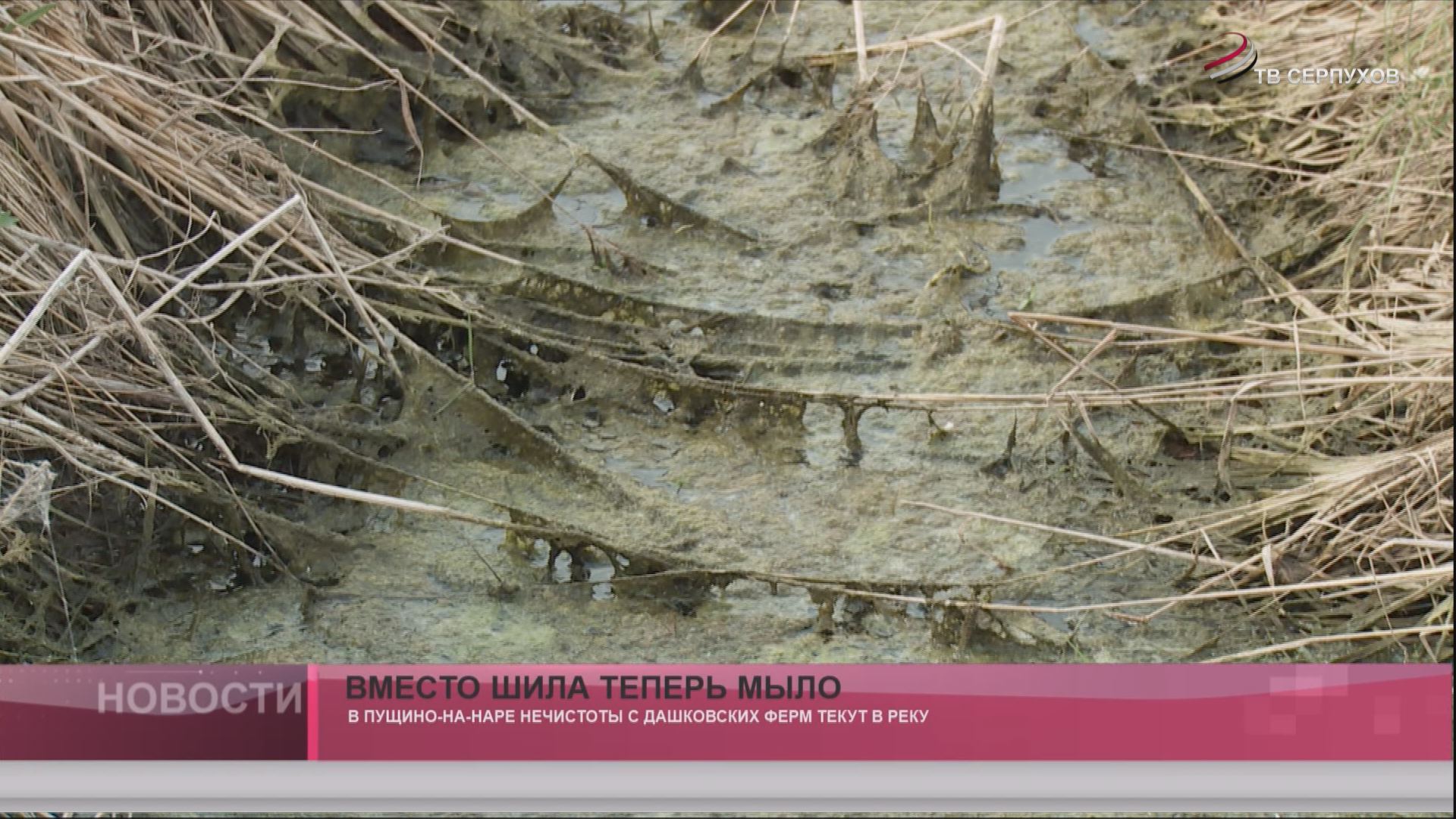 Вместо шила теперь мыло Вместо шила теперь мыло