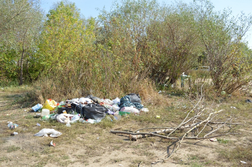 берег-7.jpg берег-7.jpg