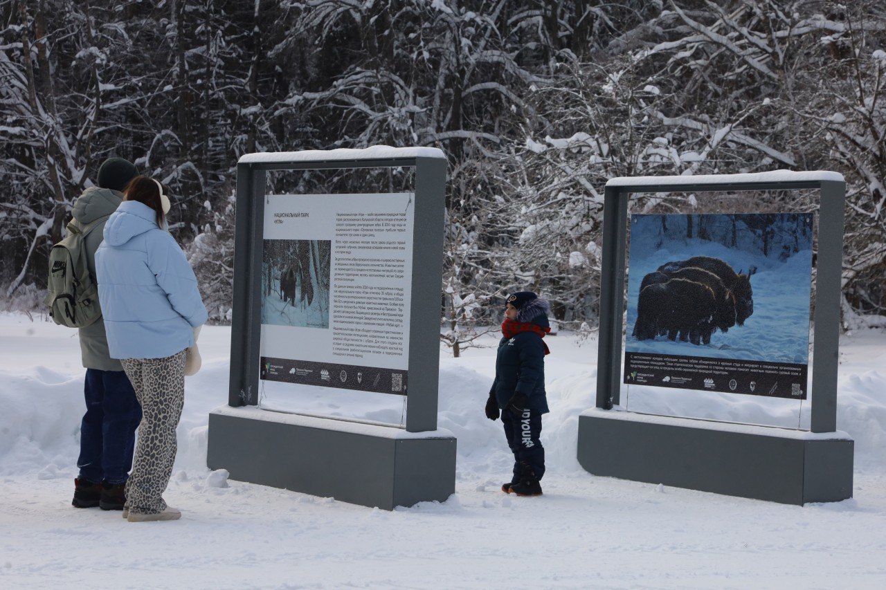В Приокско-Террасном заповеднике открылась фотовыставка «Дневник зубра»