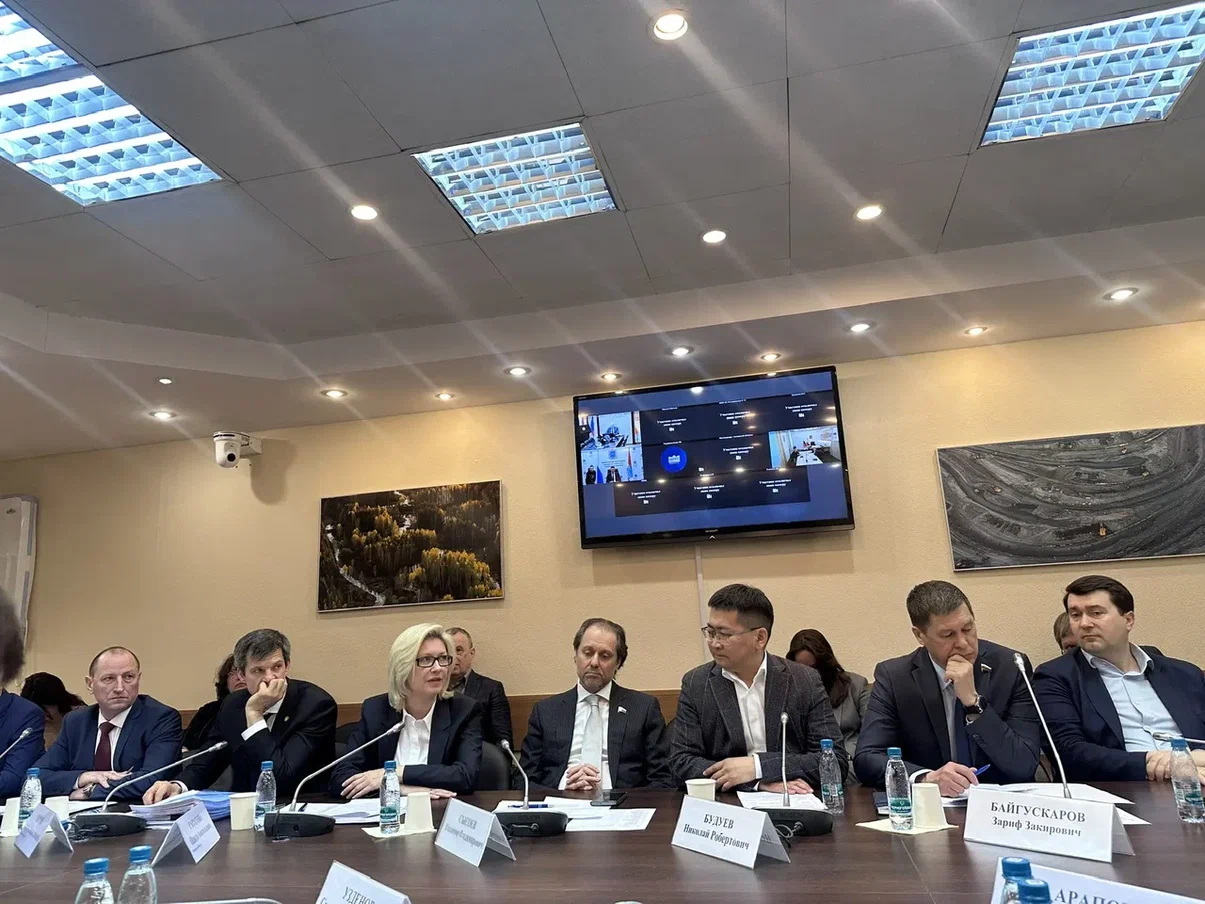 Устранение препятствий к возведению объектов некапитального строительства в городских лесах обсудили в Госдуме