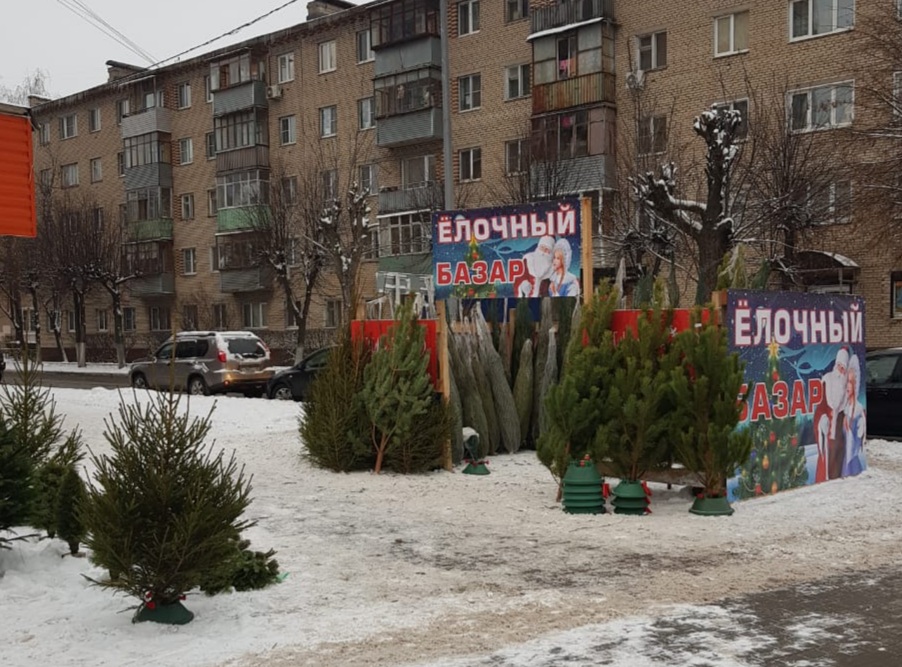 Купить Елку На Новый Год Купить Елку На Новый Год