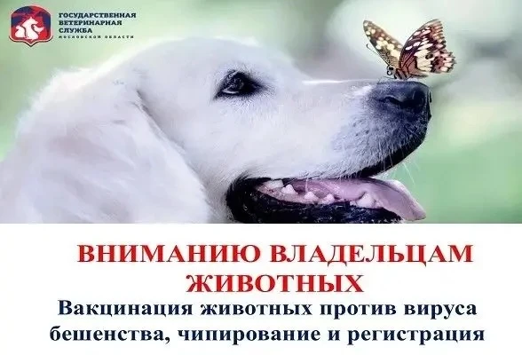Владельцы домашних животных приглашаются на выездную вакцинацию