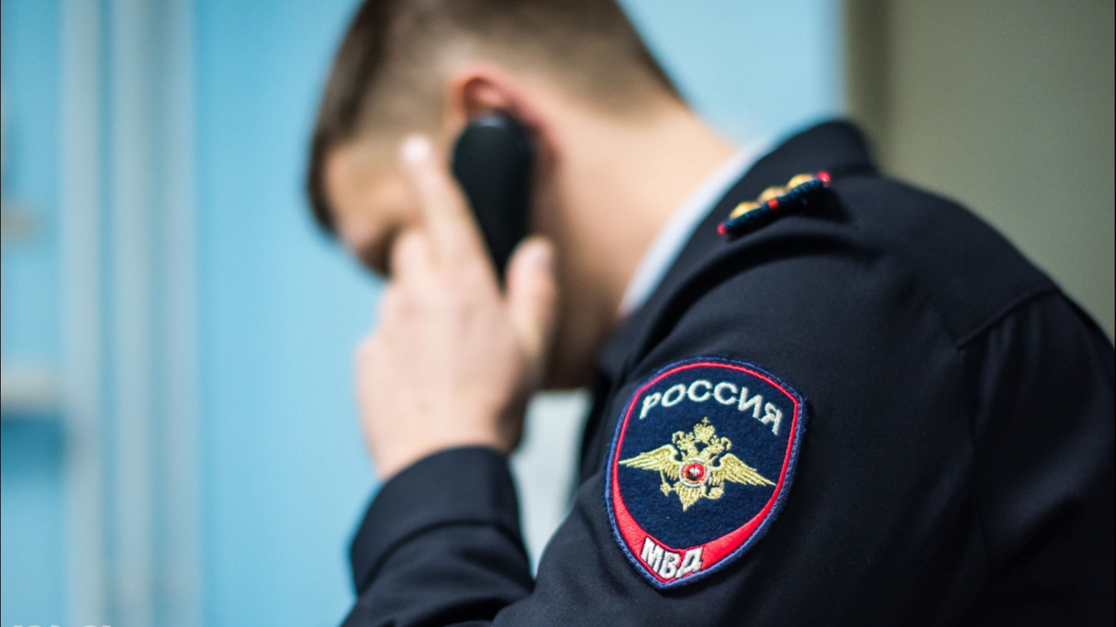 Дознание картинки