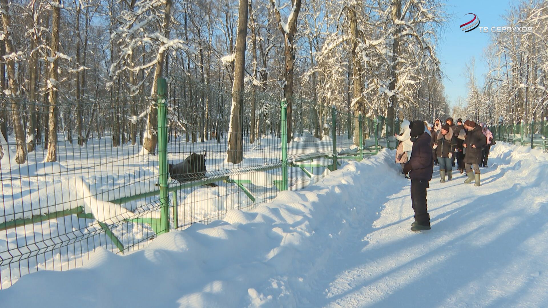 Всероссийский день заповедников и национальных парков отметили в округе реализацией проекта «В гости к зубру»