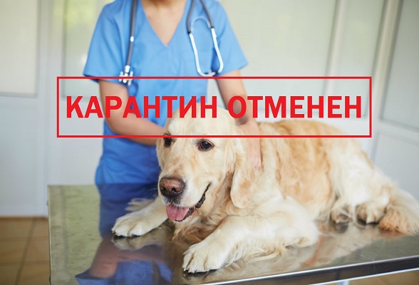 Отменён карантин по бешенству на двух территориях городского округа Серпухов Отменён карантин по бешенству на двух территориях городского округа Серпухов