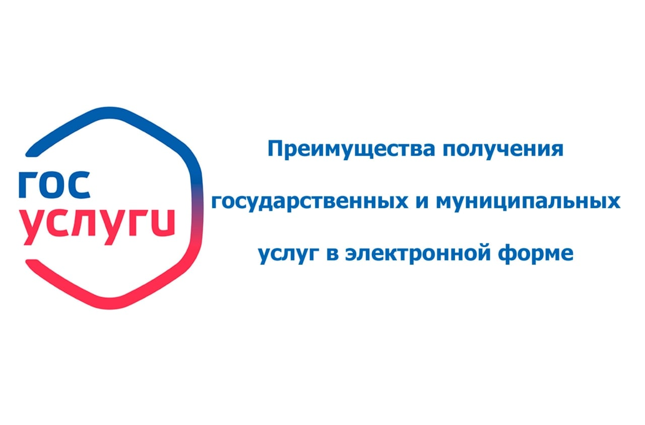Виды муниципальных услуг с примерами. Портал госуслуги лого. Любые муниципальные услуги. Государственные и муниципальные услуги. Госуслуги логотип.