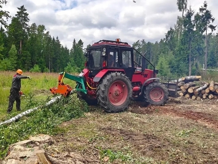 В лесах под Серпуховом начались санитарные рубки