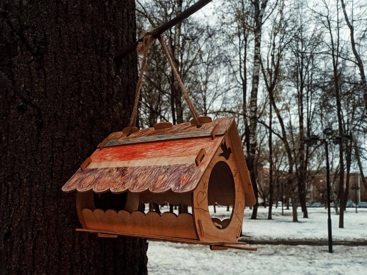 Серпуховичам напомнили, как правильно подкармливать птиц зимой 