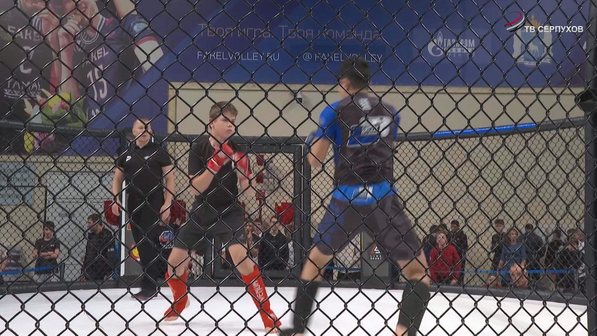 В Серпухове прошел межрегиональный турнир по ММА