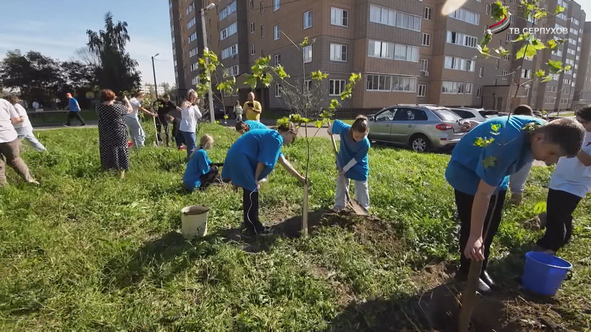 В преддверии Дня города серпуховичи провели несколько акций для жителей