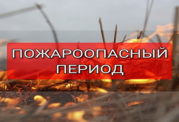 Правила поведения в лесу в пожароопасный период Правила поведения в лесу в пожароопасный период