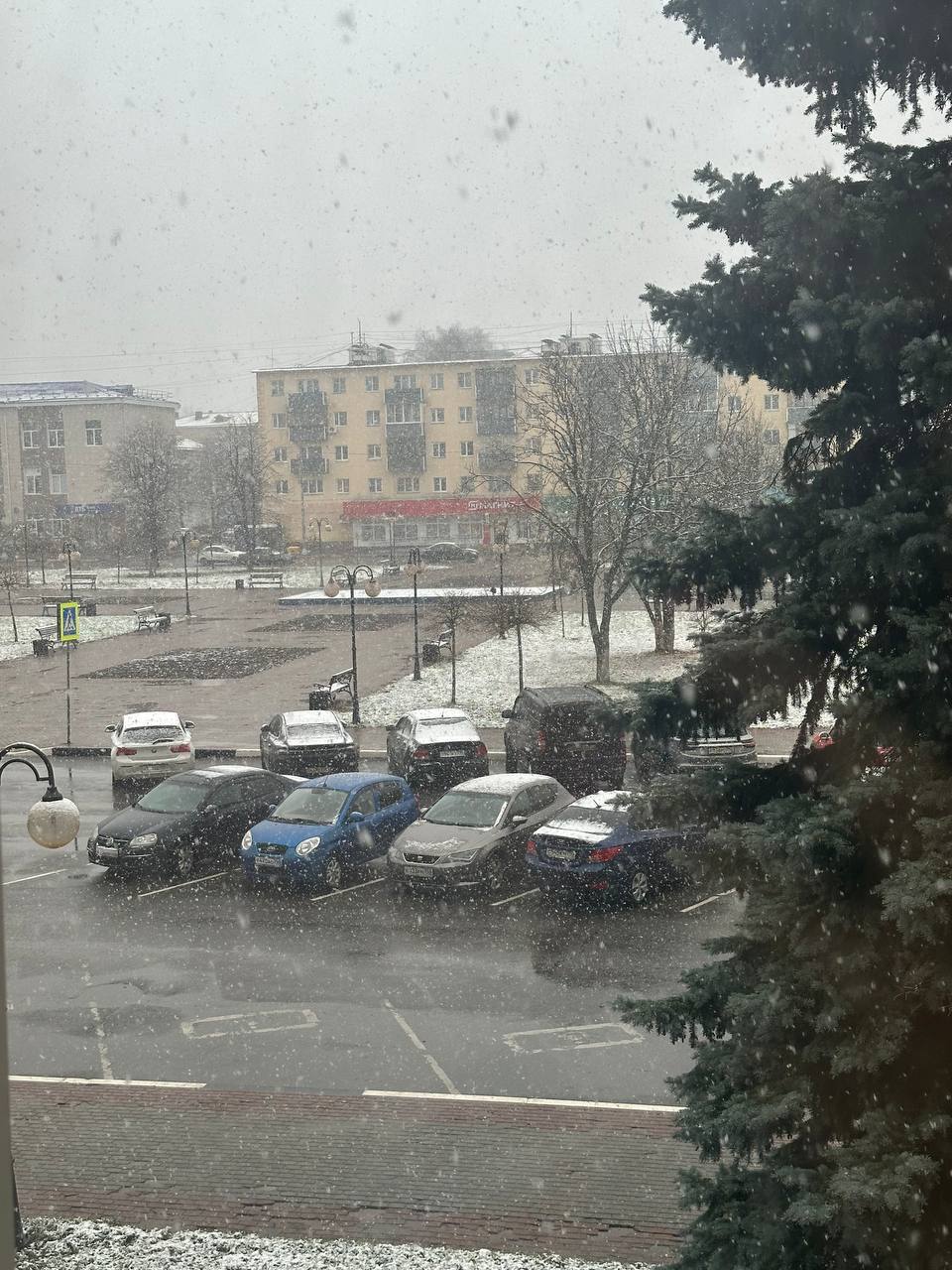 В Серпухове предпринимателей предупредили об ответственности за некачественную уборку В Серпухове предпринимателей предупредили об ответственности за некачественную уборку