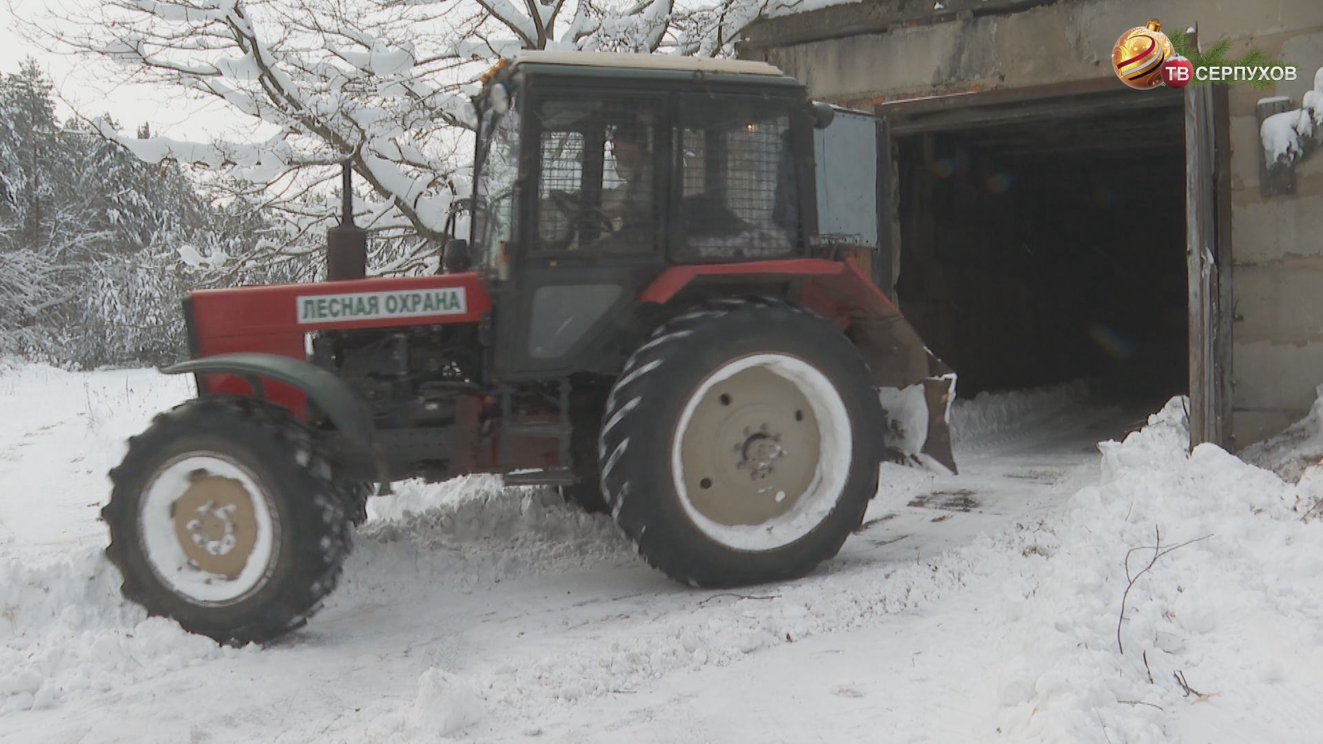 В Серпухове начали подготовку к новому лесопосадочному сезону