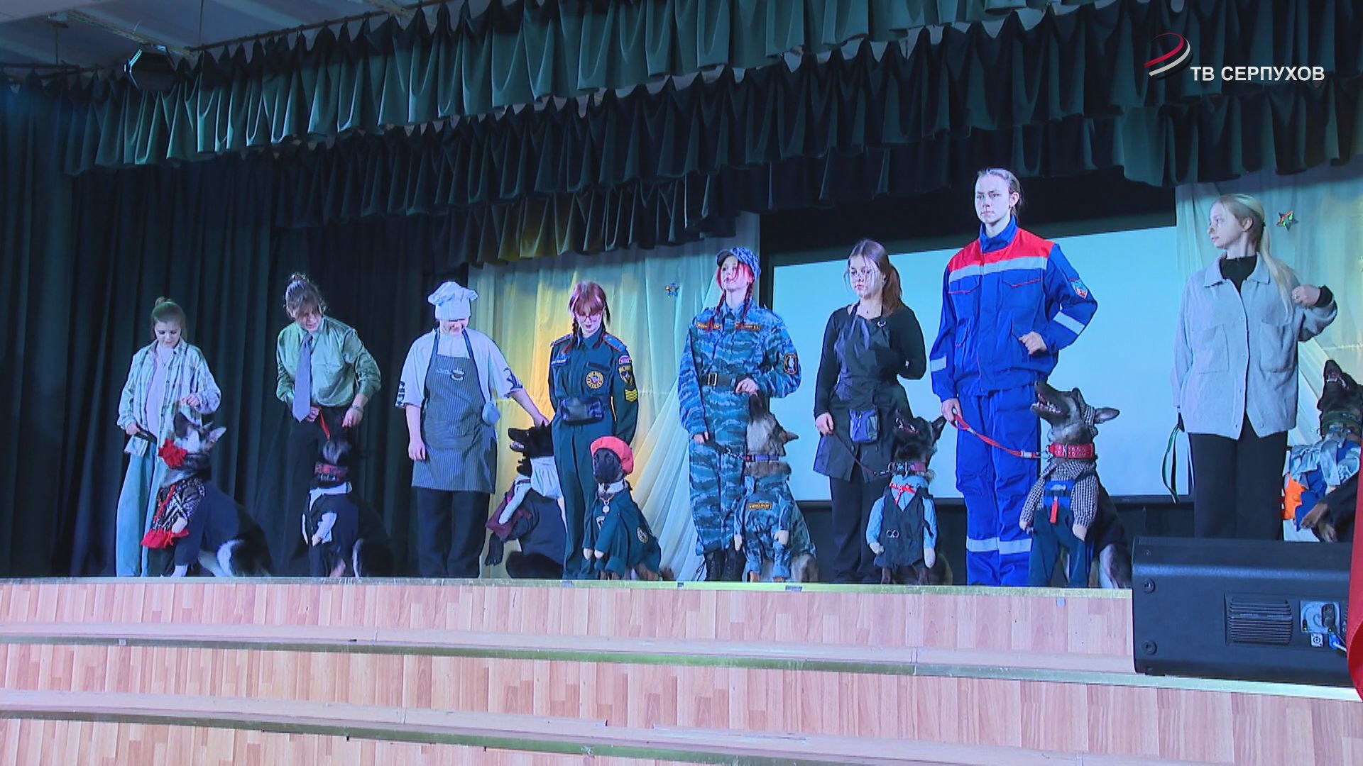 В Серпухове стартовал региональный этап Всероссийского Чемпионата «Профессионалы-2026» по компетенции «Кинология»