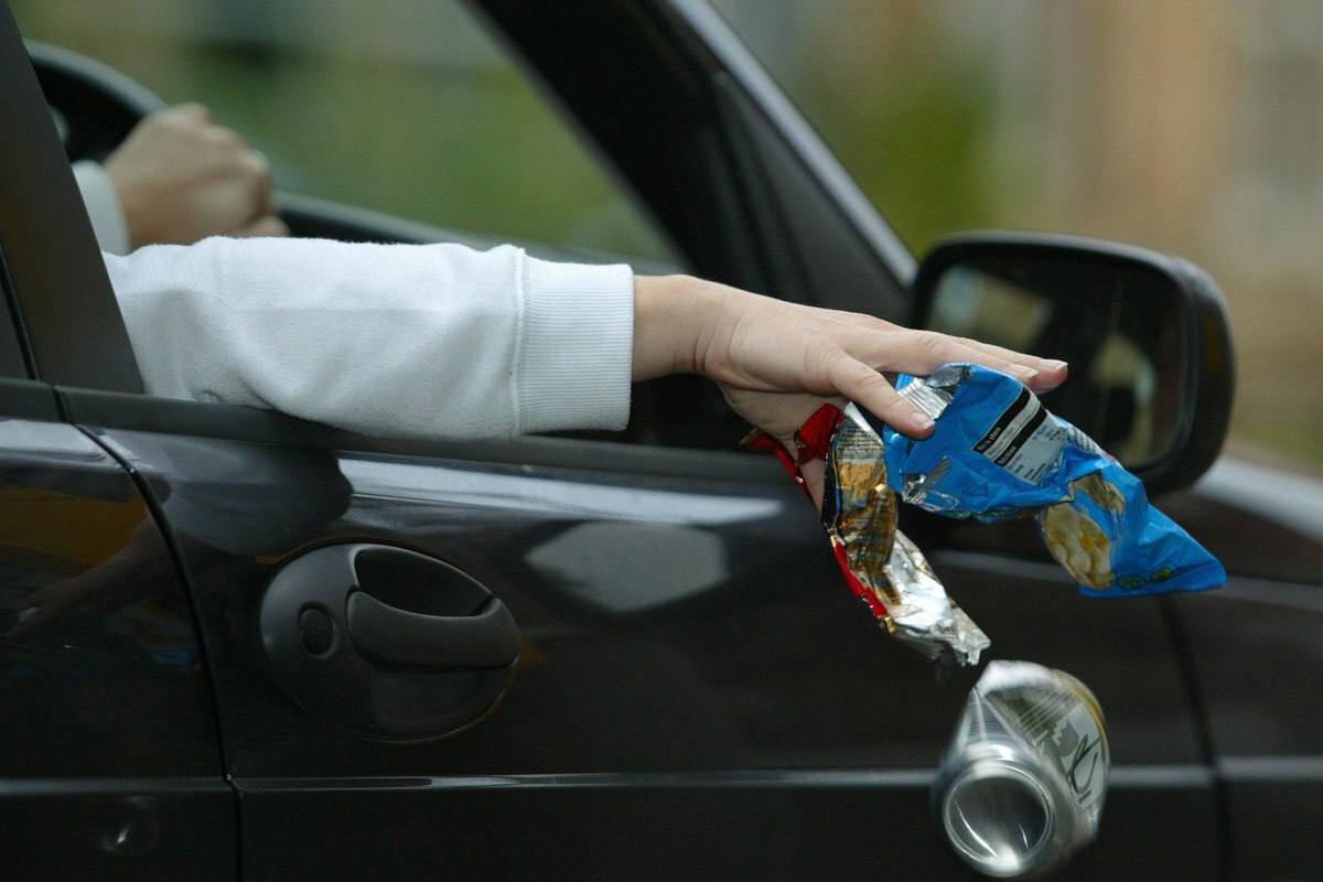 1. Экологический вред