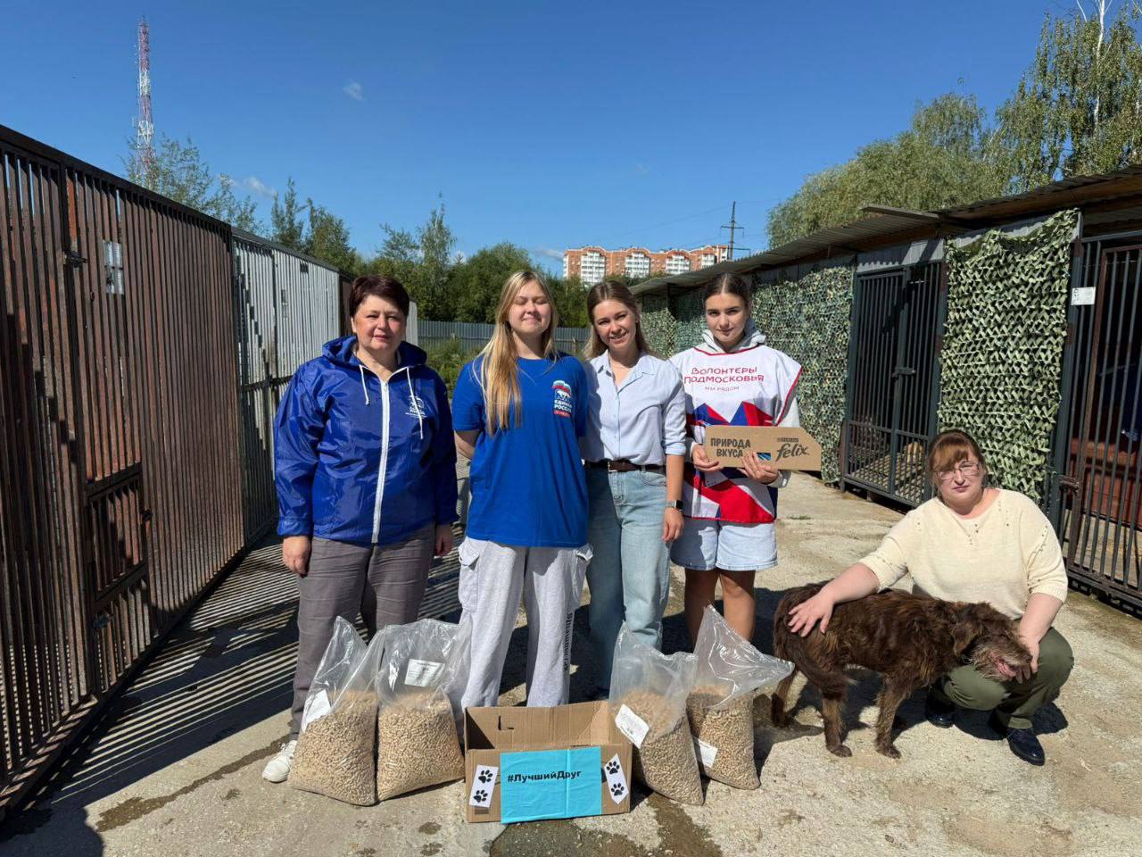  Серпуховичи приняли участие в благотворительной акции «Лучший друг», приуроченной к Всемирному дню бездомных животных