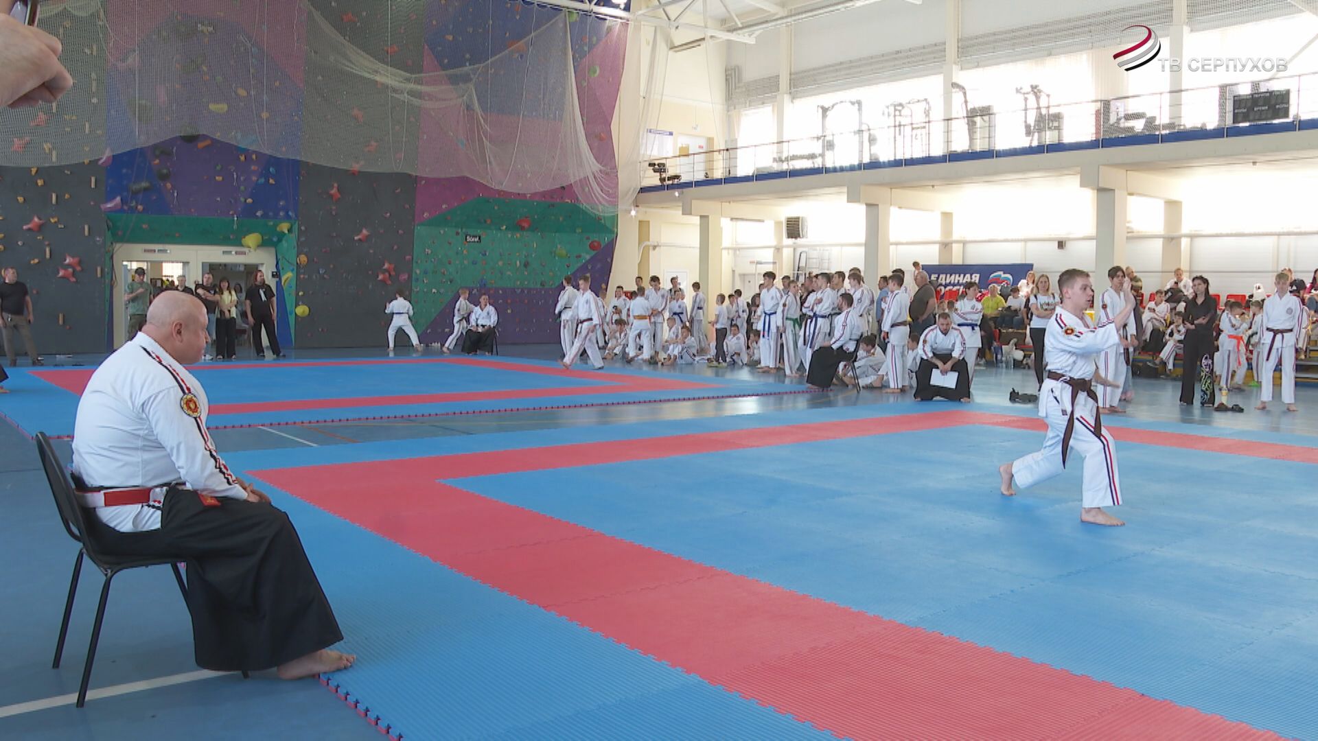 В Серпухове провели Кубок России по косики каратэ