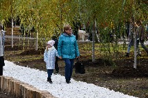 DSC_2447.JPG