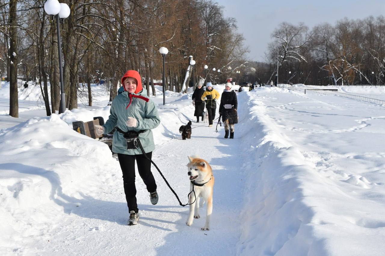 Серпуховичи приняли участие в гонках вместе со своими собаками
