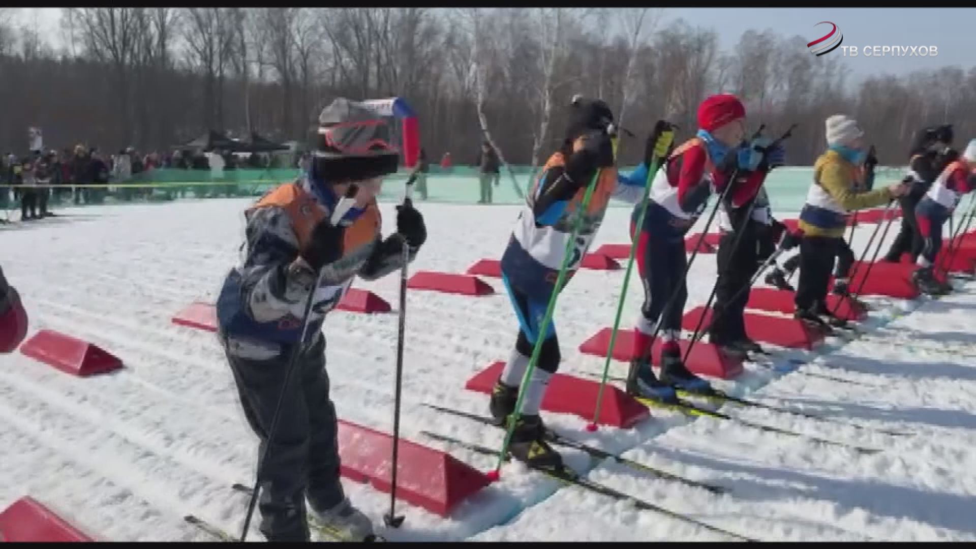 В Серпухове провели лыжный праздник на призы Марины Фирсовой