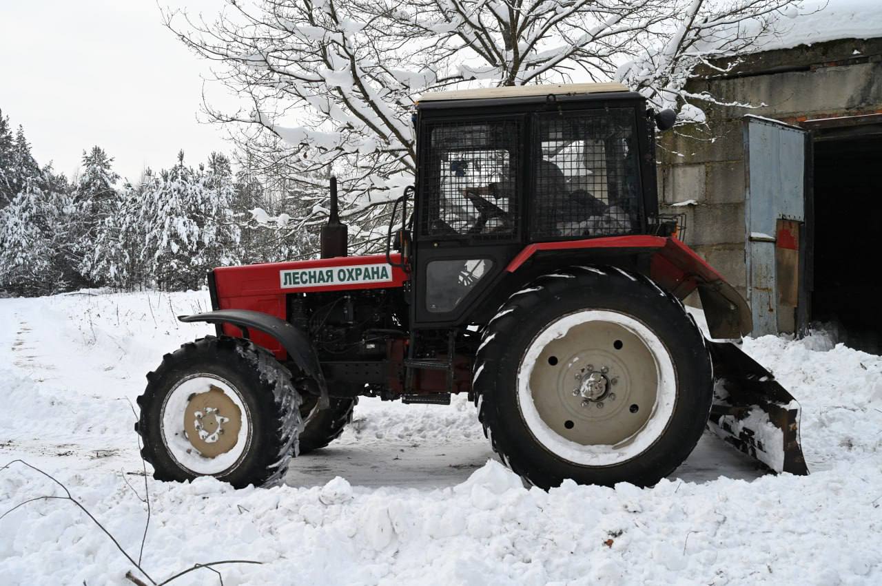 «Русский лес» заложил основу для весенней посадки 76 тысяч сосен