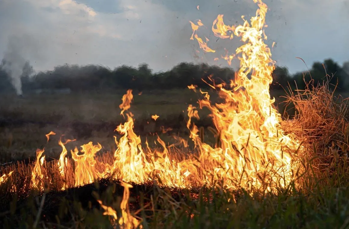 В Серпухове с 20 апреля введён особый режим пожарной безопасности
