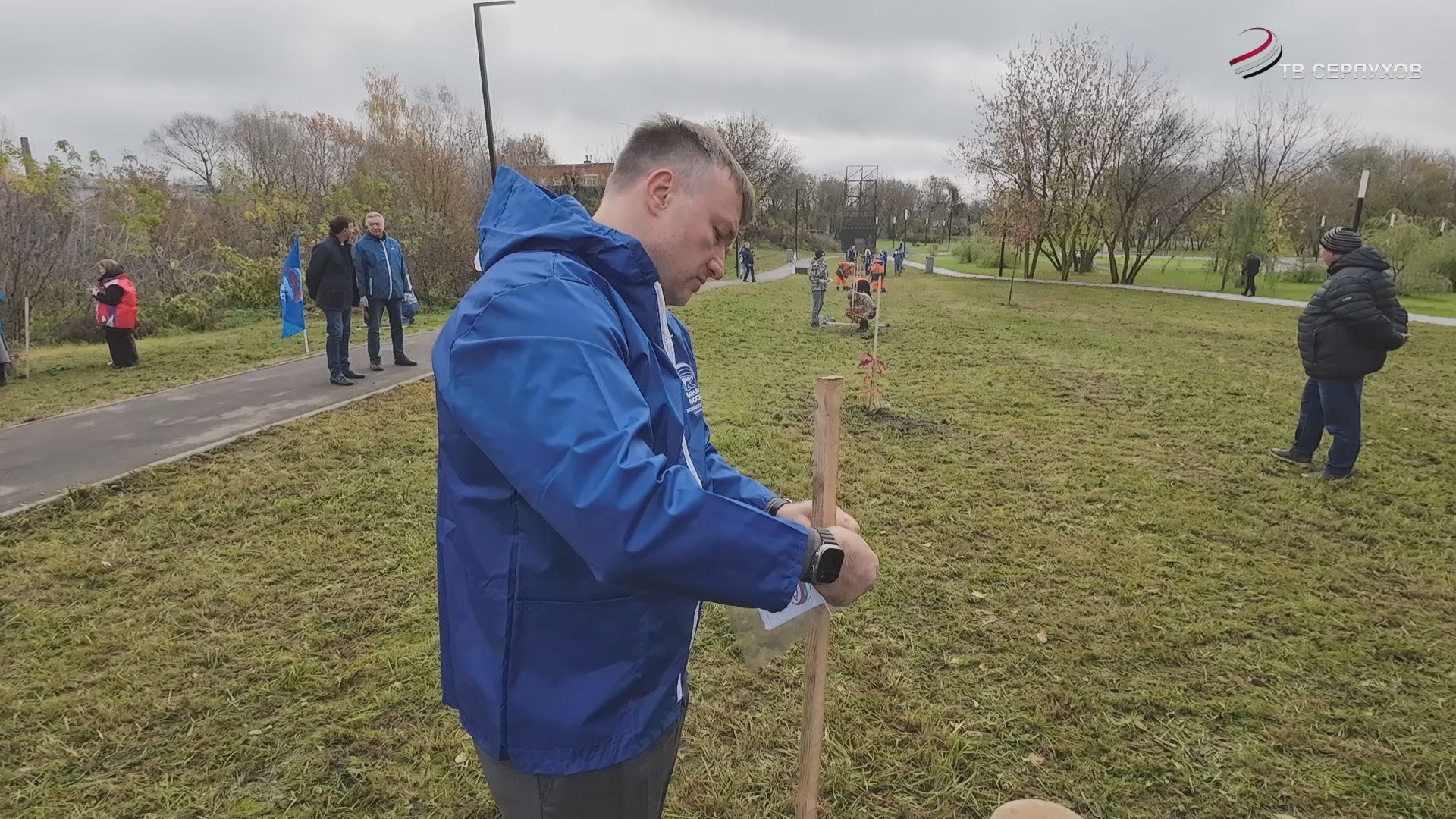 В Серпухове высадили дубовую аллею ко Дня отца