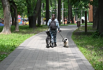 В парке им. Олега Степанова будет работать мобильный ветеринарный пункт