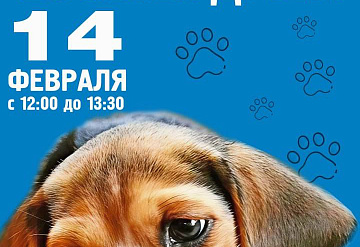 День «Возьми друга» пройдёт в серпуховском приюте «Зоозащита плюс»