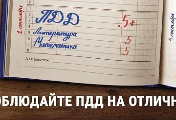 В Подмосковье стартовало профилактическое мероприятие «Внимание – дети!»
