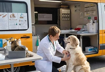 Серпуховичам сообщили расписание выездной вакцинации домашних животных на май 2026 года