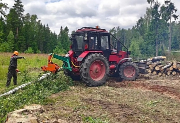 В лесах под Серпуховом начались санитарные рубки