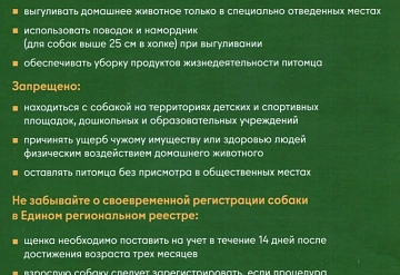 Жителям Серпухова напомнили о правилах выгула домашних животных, а также о возможности зарегистрировать питомца онлайн без посещения ветеринарного учреждения