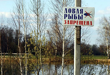Об усилении охраны рыбных запасов в весенний период 2026 года на водных объектах Подмосковья