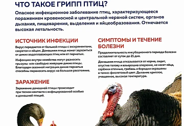 На территории Подмосковья стартовал месячник по обеспечению биологической защиты объектов птицеводства — «СТОП ГРИПП»
