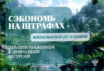 Росприроднадзор призывает бизнес Московской области сдать отчетность по новой системе утилизации