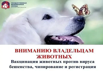 Владельцы домашних животных приглашаются на выездную вакцинацию